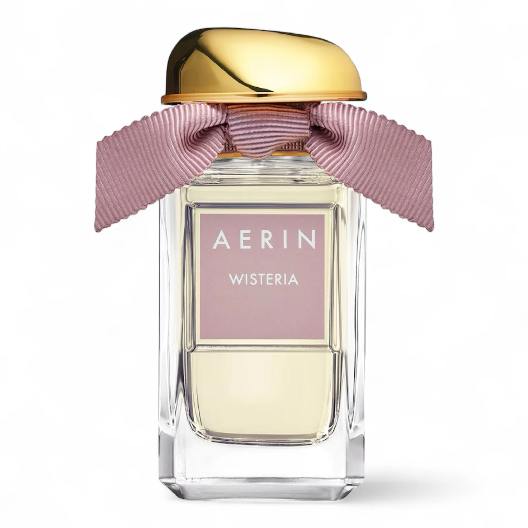 Aerin Wisteria