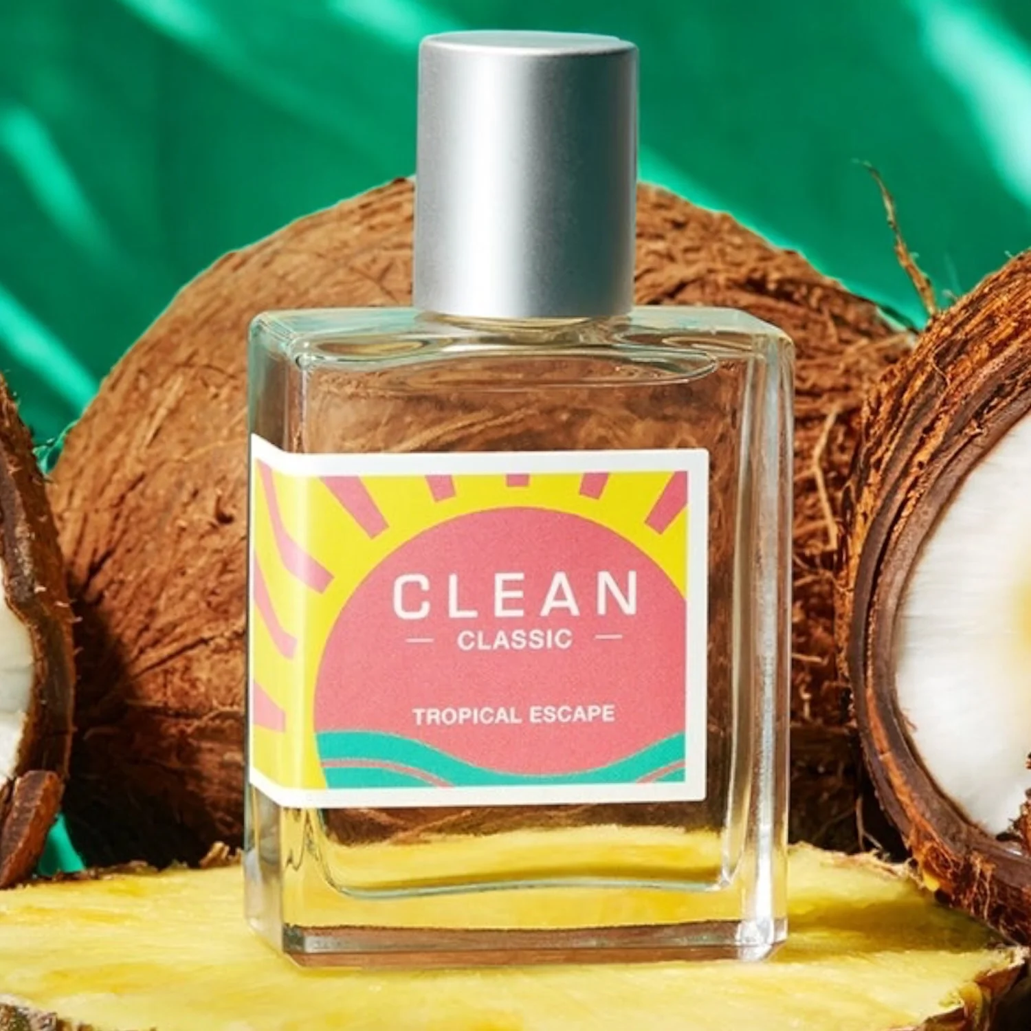 Clean Classic Tropical Escape - Image 2