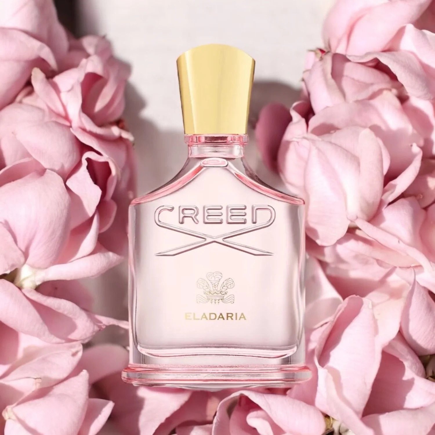 Creed Eladaria - Image 2