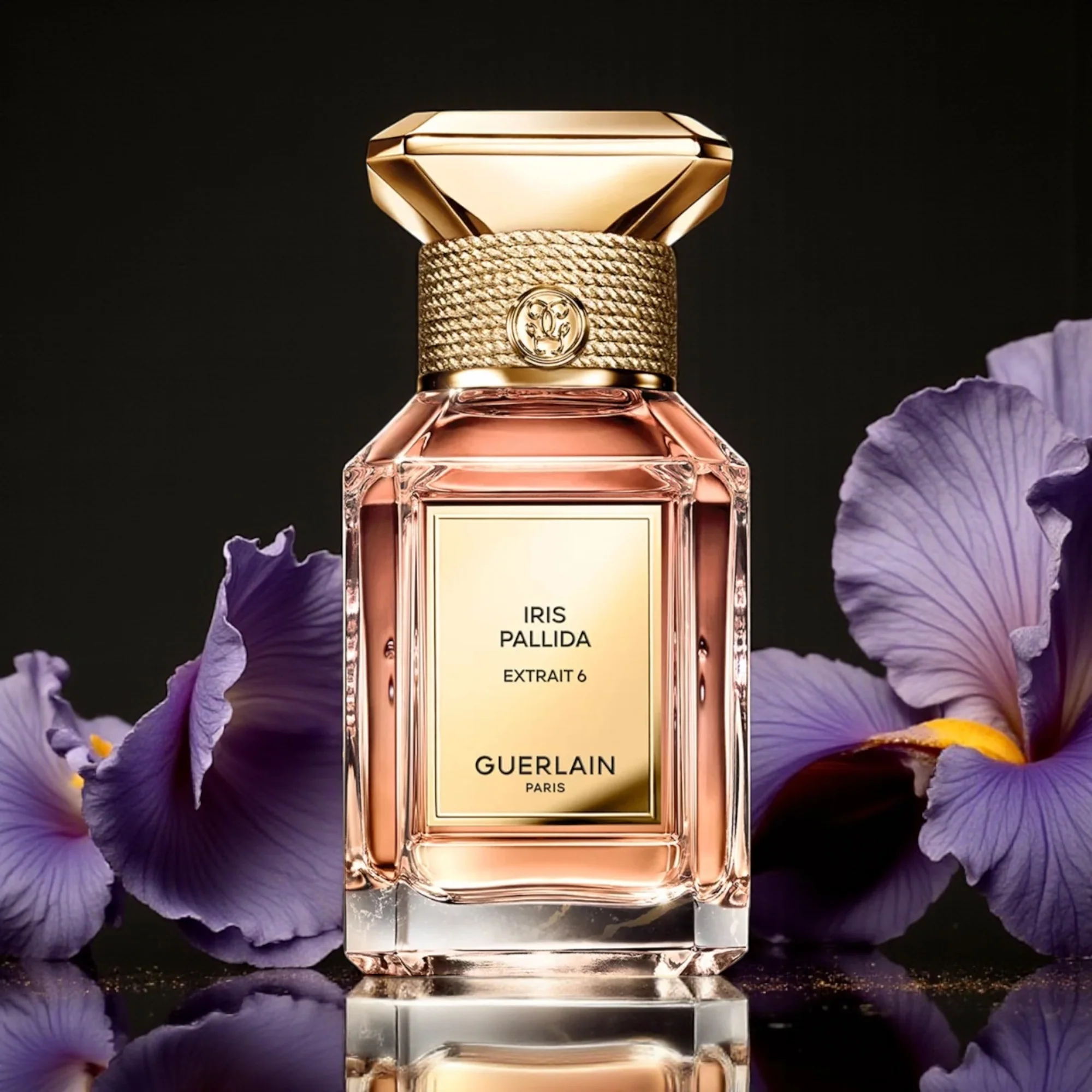 Guerlain L’Art & La Matière Iris Pallida Extrait 6 - Image 2