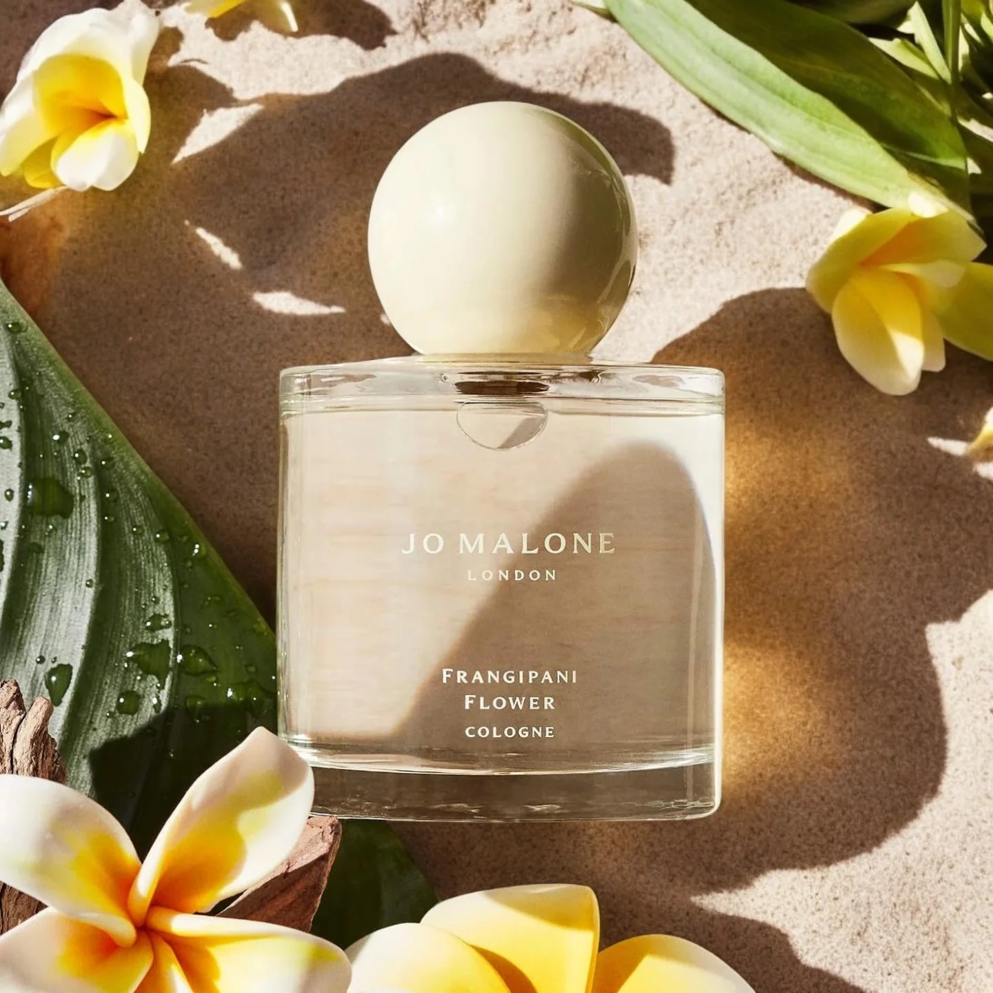 Jo Malone Frangipani Flower - Image 2