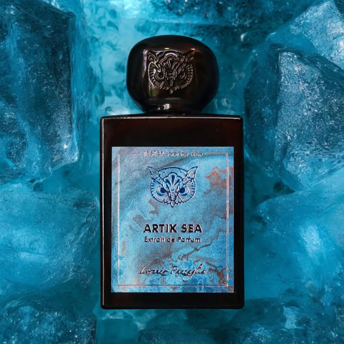 Lorenzo Pazzaglia Artik Sea - Image 2