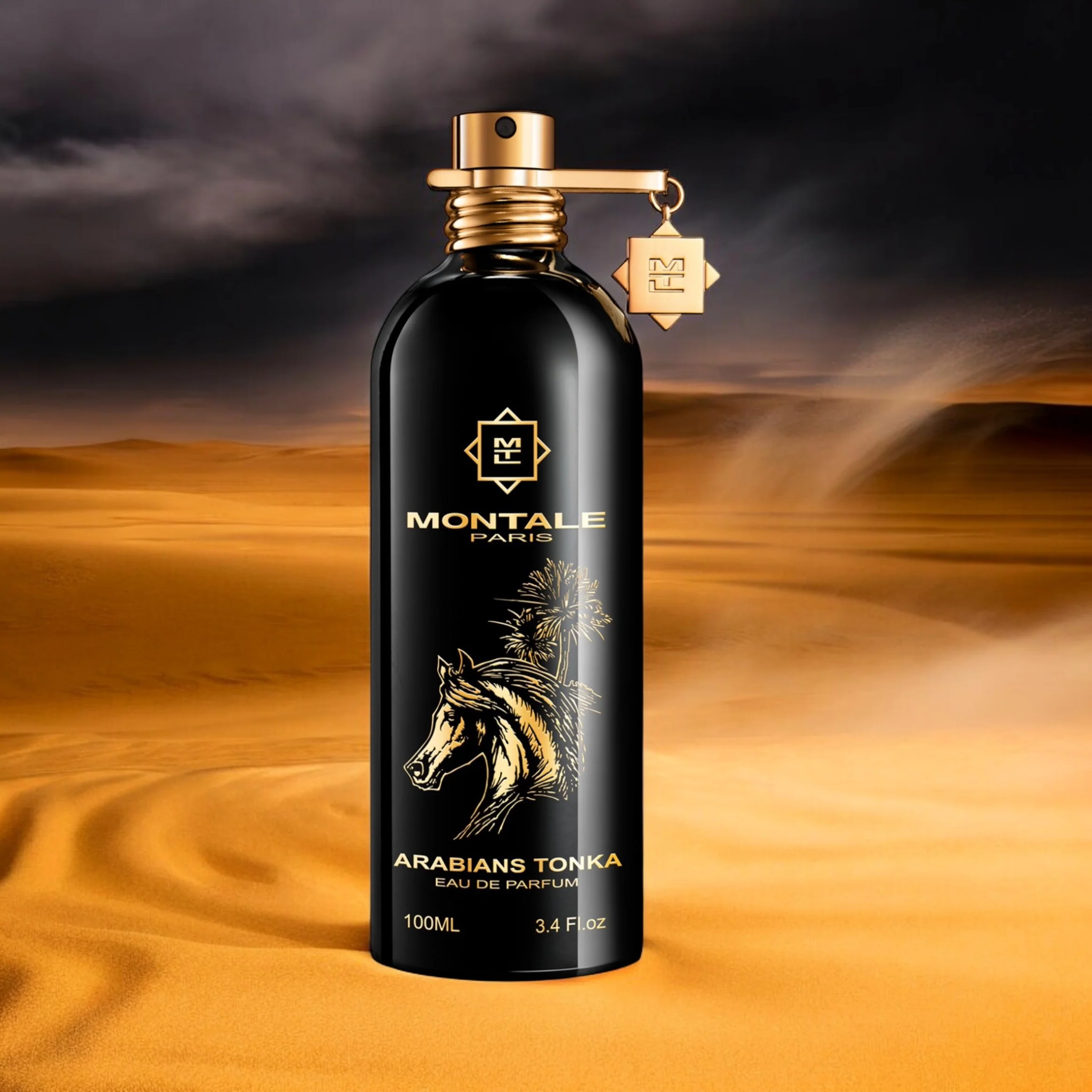 Montale Arabians Tonka - Image 2