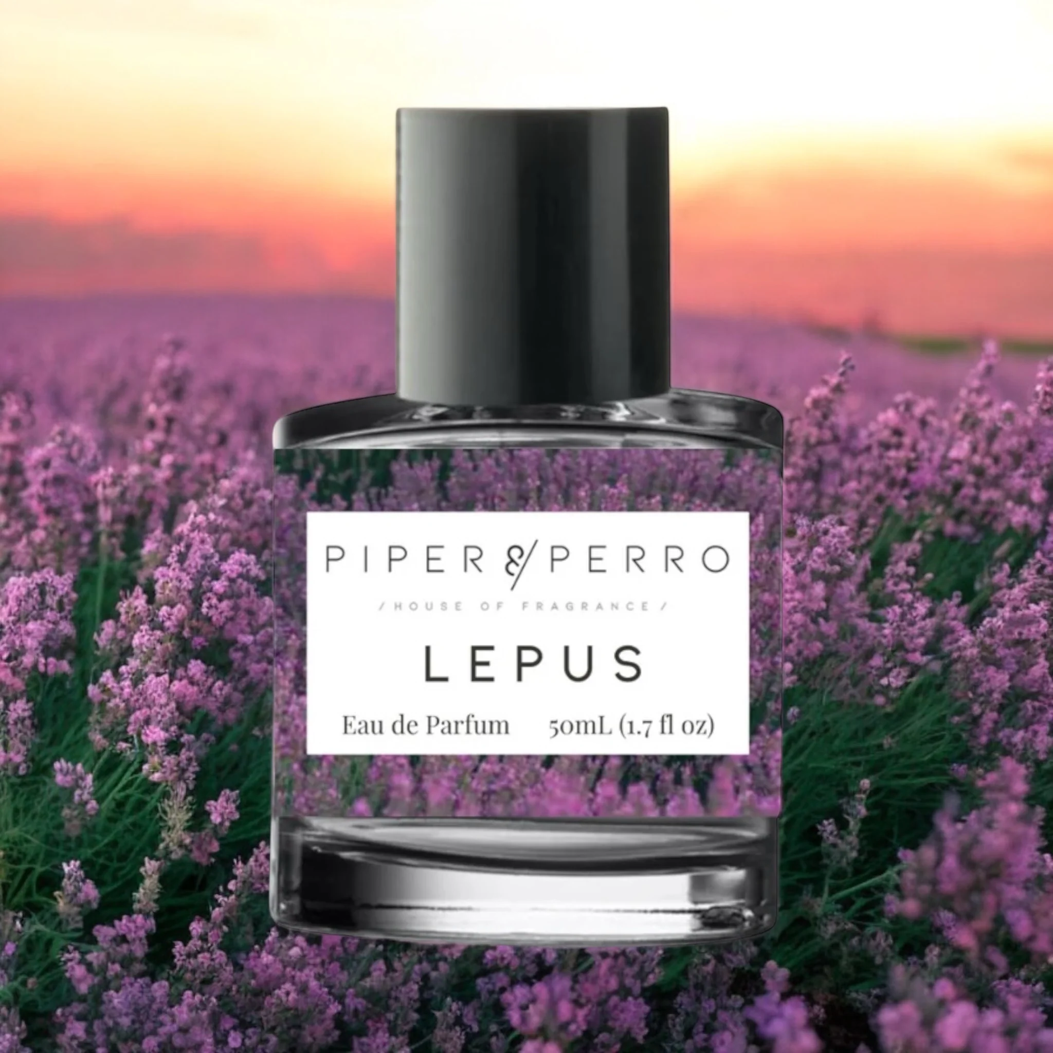 Piper & Perro Lepus - Image 2