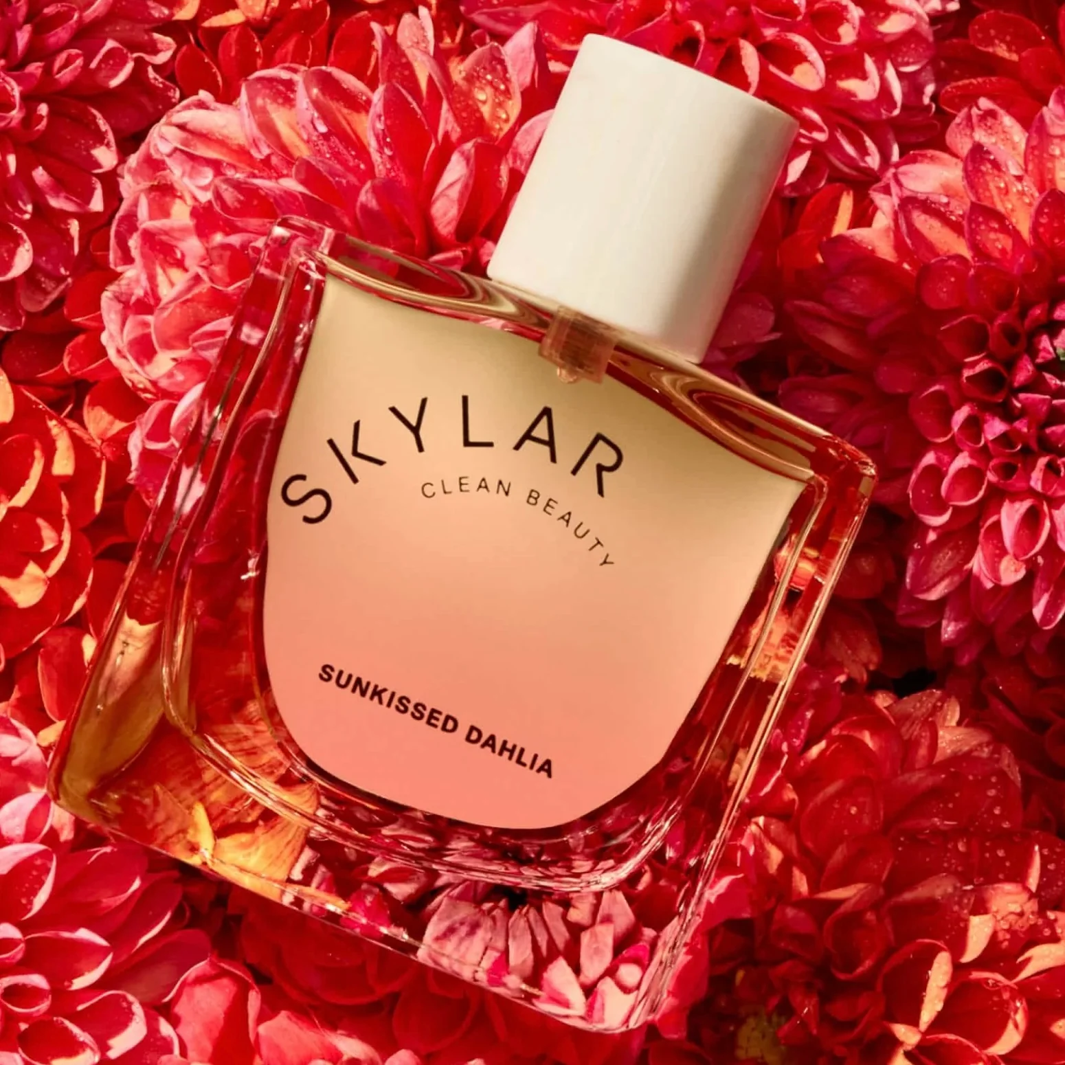 Skylar Sunkissed Dahlia - Image 2