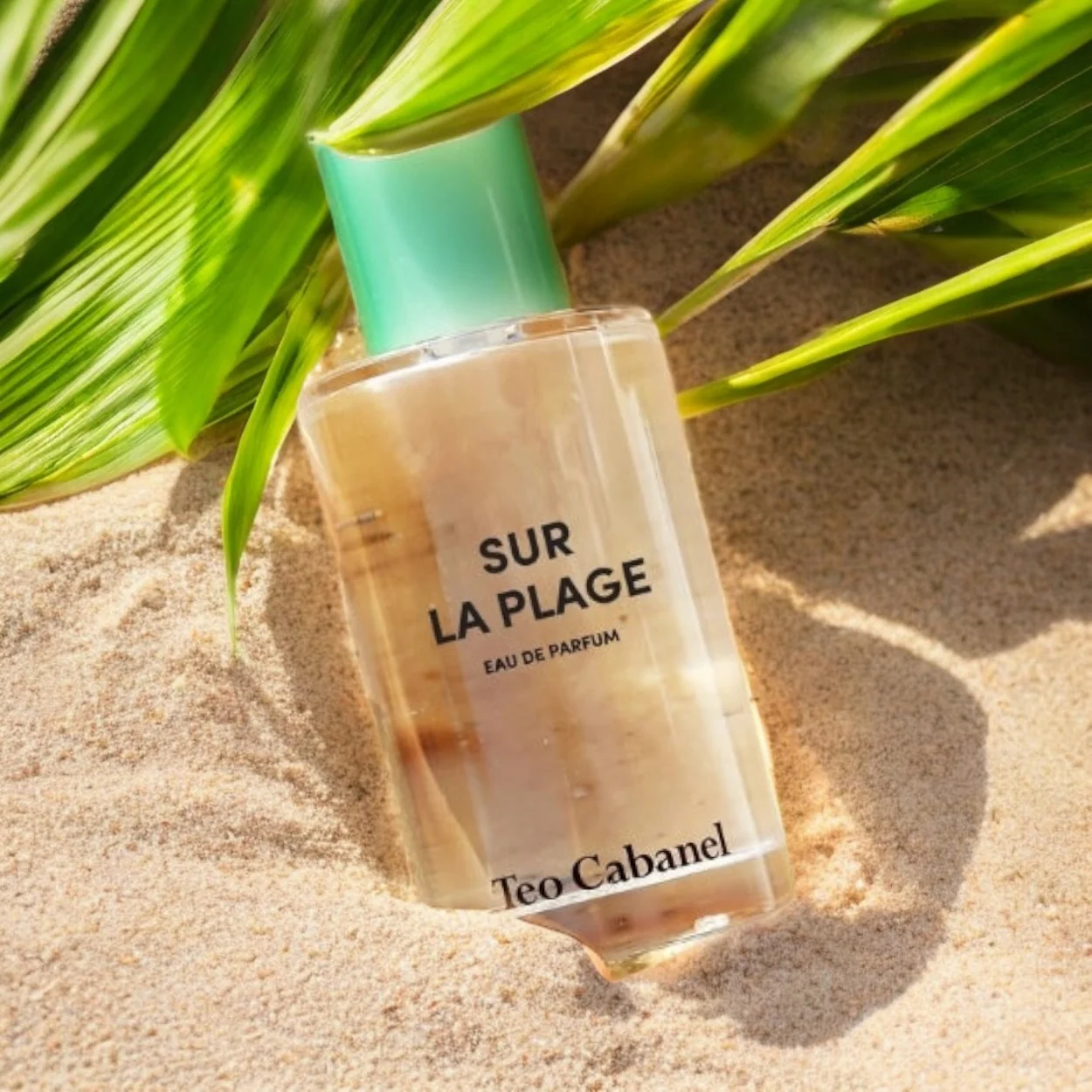 Teo Cabanel Sur La Plage - Image 2