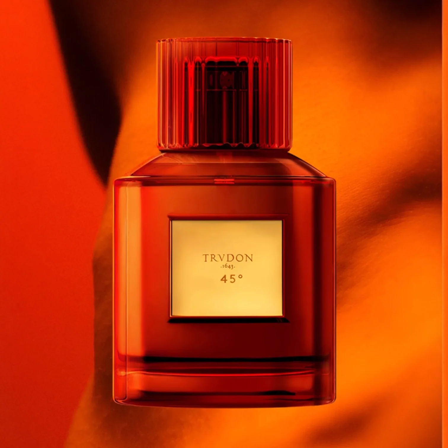Trudon 45° - Image 2